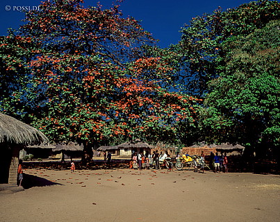181226-304.jpg