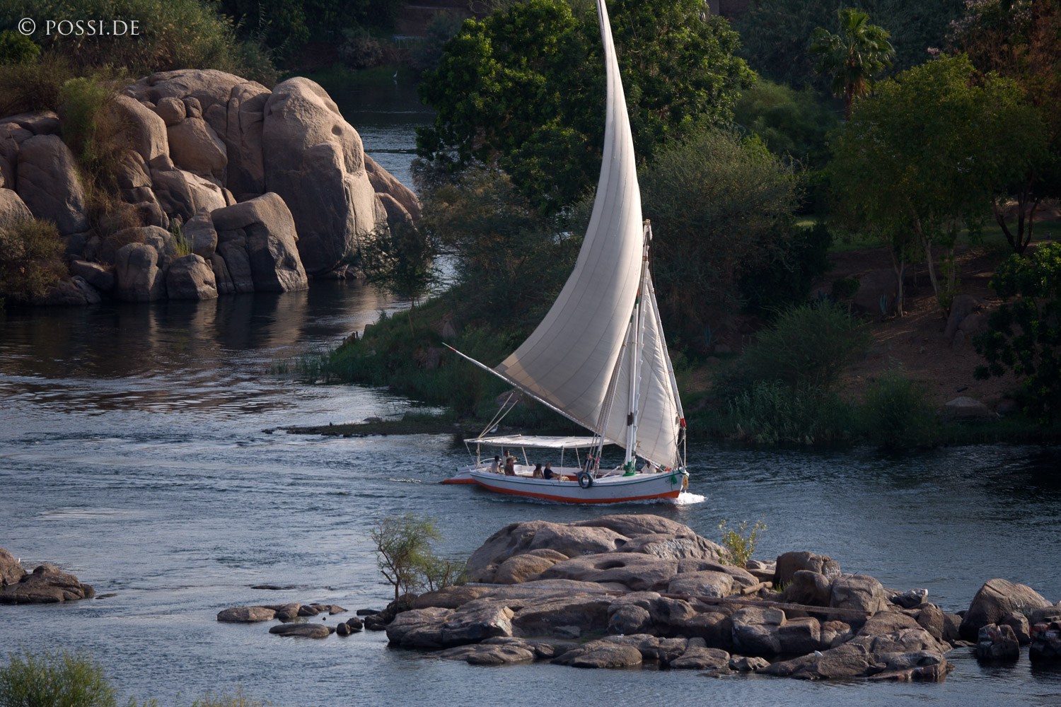 071004-2390.jpg
