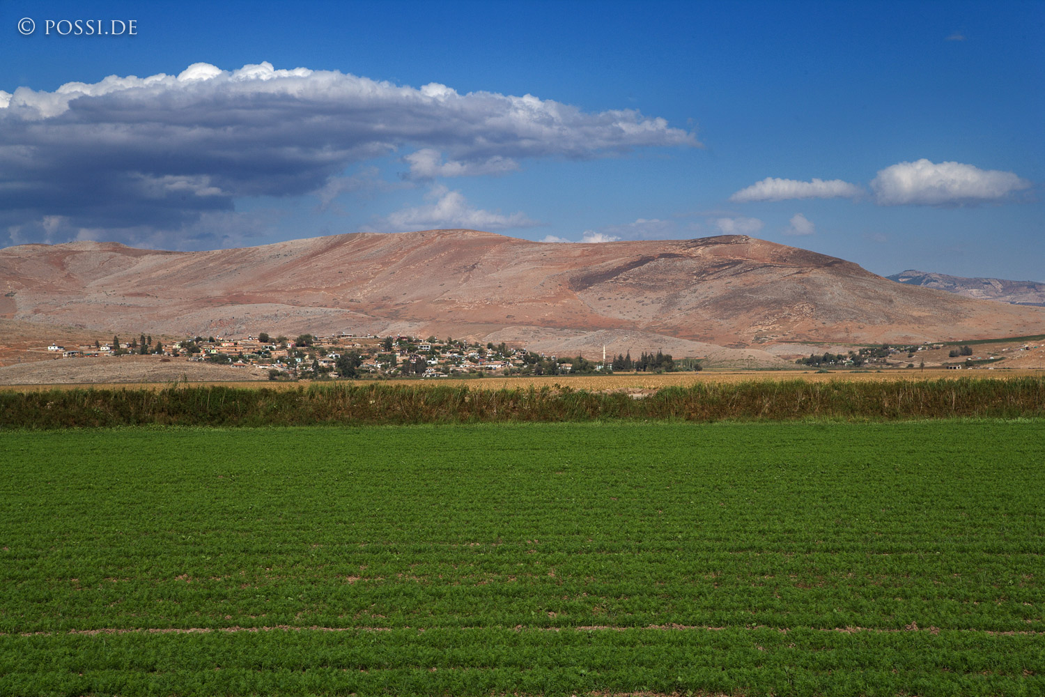 071015-3450.jpg