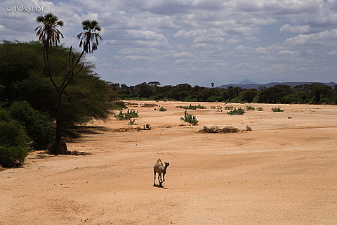 070904-0149.jpg