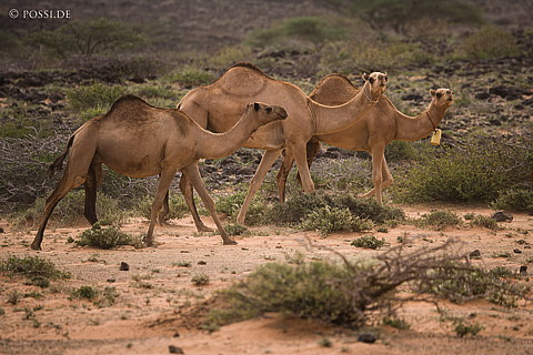 070905-0186.jpg