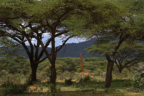 070906-0253.jpg