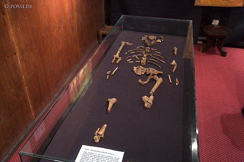 070909-0524.jpg
