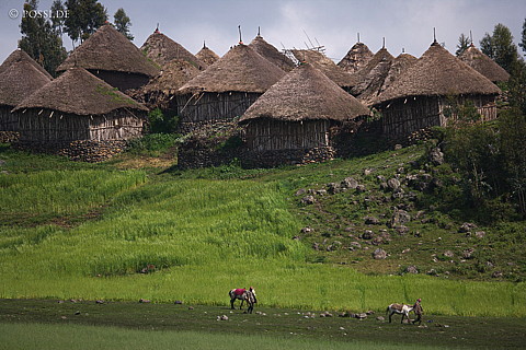 070910-0584.jpg