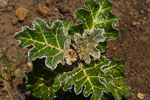 070910-0599.jpg
