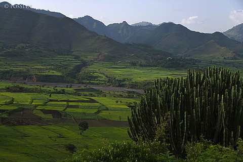 070910-0610.jpg