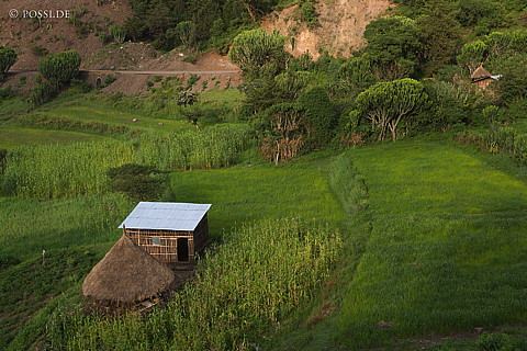 070910-0619.jpg
