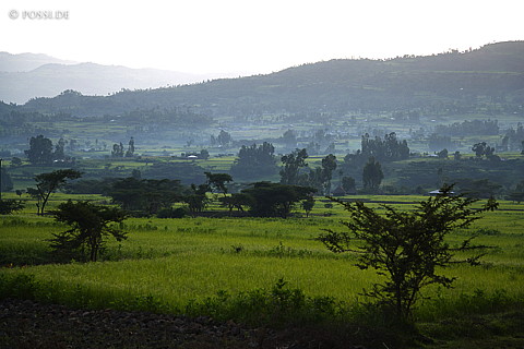 070911-0633.jpg