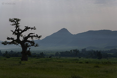 070911-0660.jpg