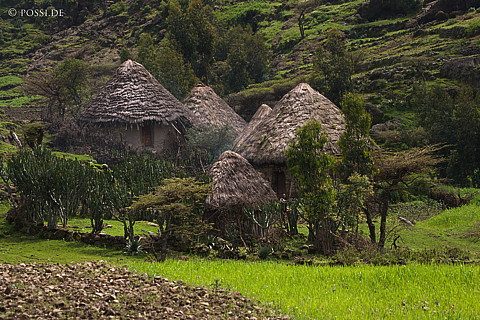 070911-0682.jpg