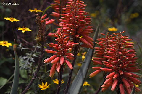070912-1017.jpg