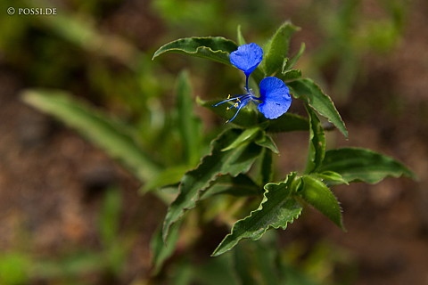 070912-1018.jpg
