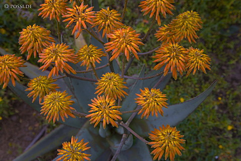 070912-1026.jpg