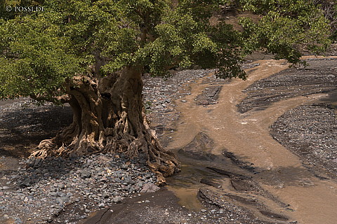 070912-1044.jpg