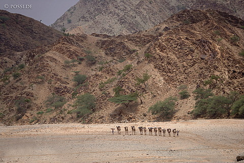 070913-1084.jpg