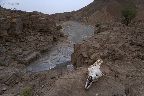 070913-1102.jpg