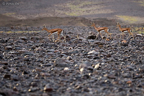 070913-1123.jpg