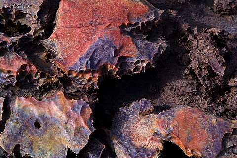 070914-1231.jpg
