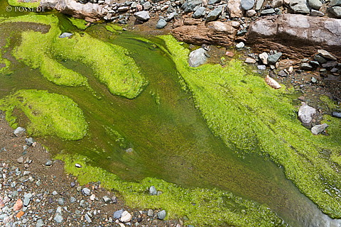 070914-1312.jpg