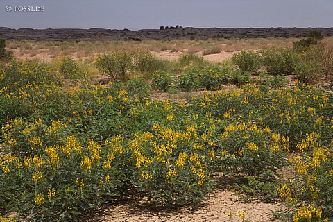 070917-1332.jpg