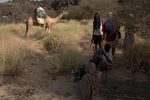 070918-1364.jpg