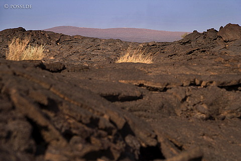 070918-1365.jpg