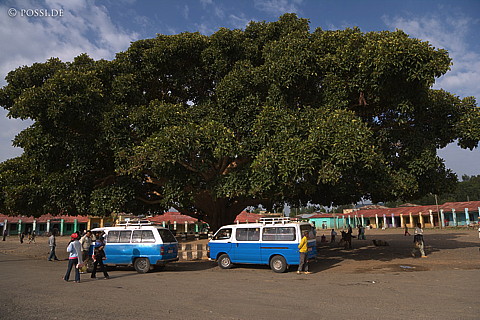 070922-1474.jpg