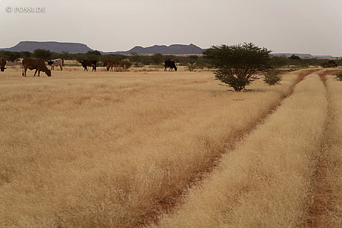 070926-1612.jpg