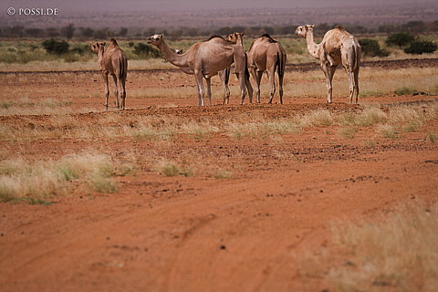 070926-1647.jpg