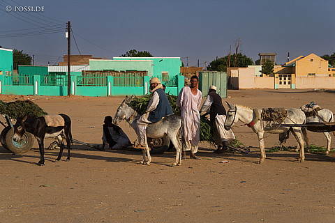 070927-1772.jpg