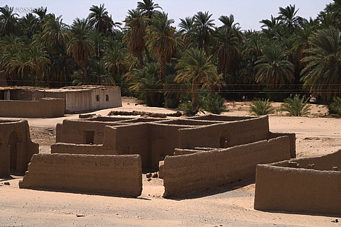 070930-2038.jpg