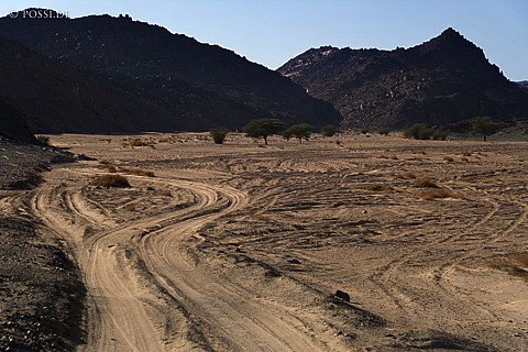 071001-2186.jpg