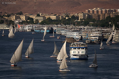 071004-2376.jpg
