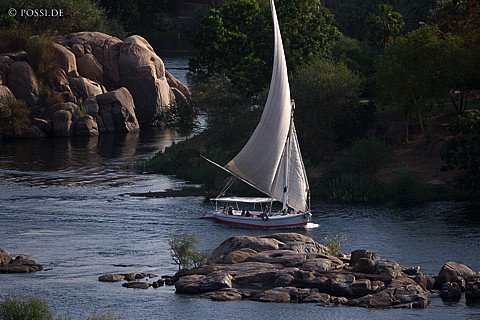 071004-2390.jpg