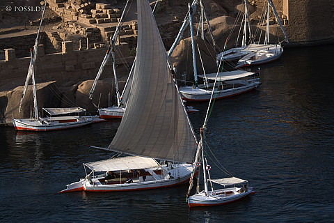 071004-2395.jpg