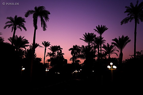 071007-2693.jpg