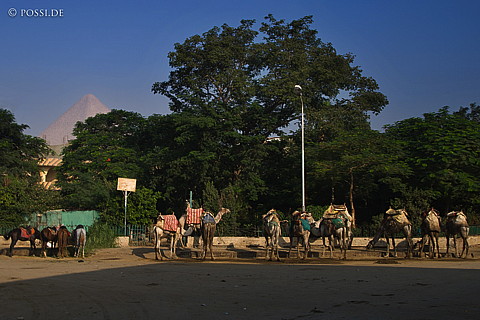 071010-2897.jpg