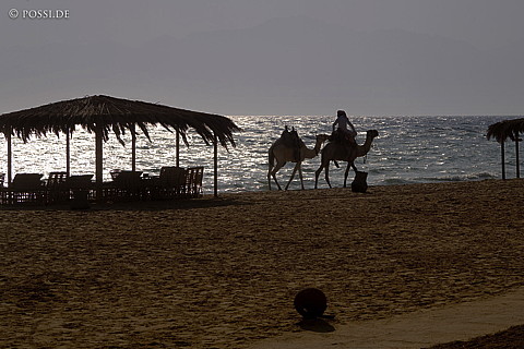 071012-3050.jpg