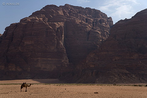 071013-3099.jpg