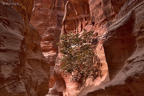 071013-3211.jpg