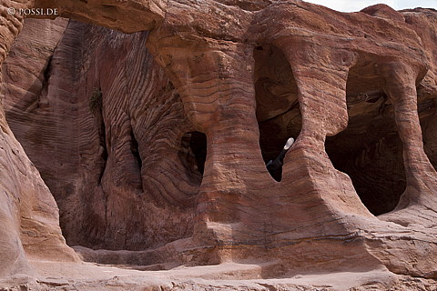 071013-3268.jpg