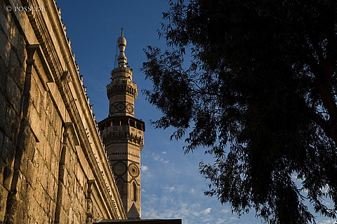 071014-3359.jpg