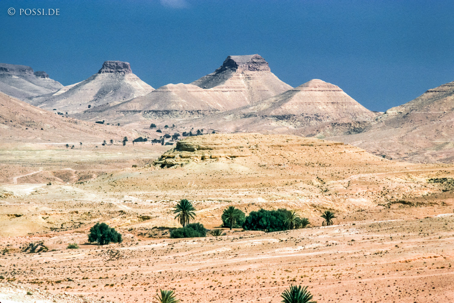 dia0146.jpg