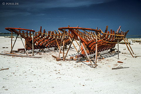 dia0095.jpg