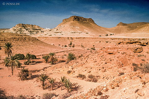 dia0174.jpg