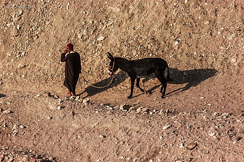 dia0181.jpg