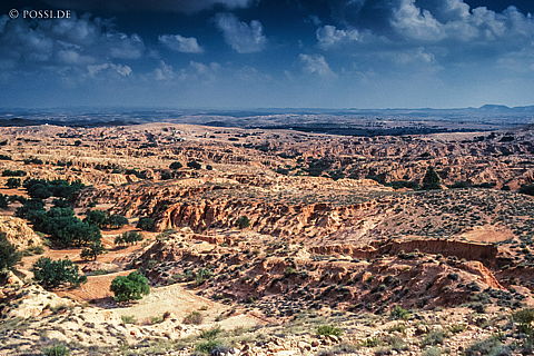 dia0226.jpg