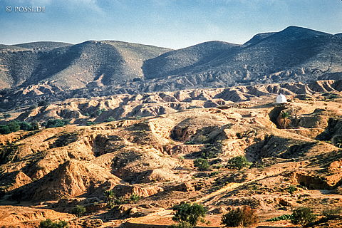 dia0241.jpg