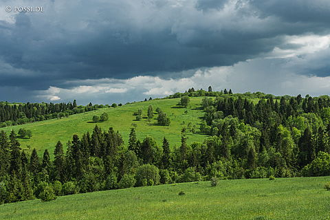 190602-0119.jpg