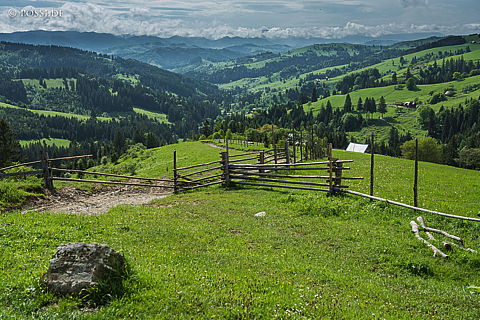 190604-0196.jpg